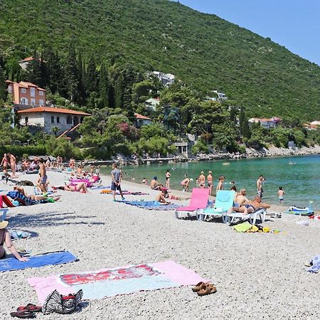 Apartments And Rooms With Parking Space Trpanj, Peljesac - 250 Exteriör bild